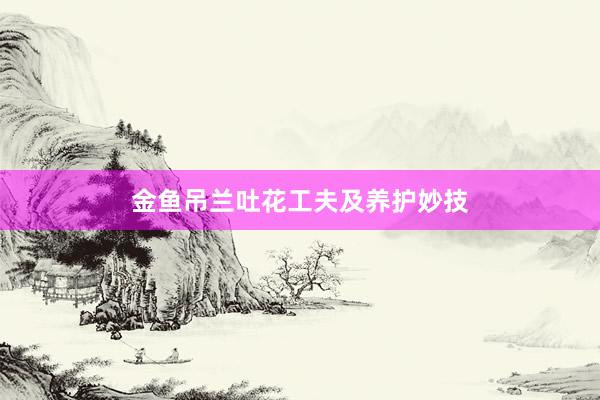 金鱼吊兰吐花工夫及养护妙技