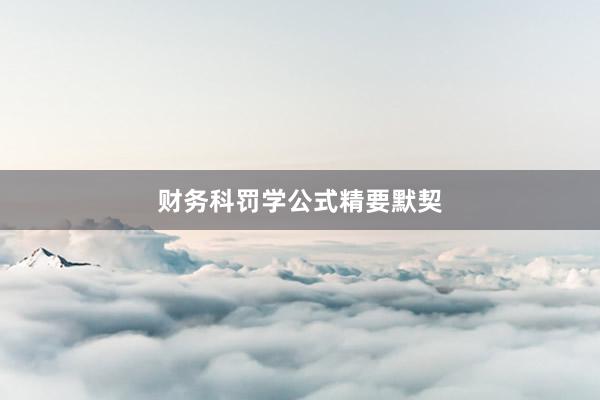 财务科罚学公式精要默契