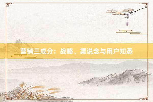 营销三成分：战略、渠说念与用户知悉